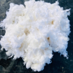 Cotton Linter Pulp