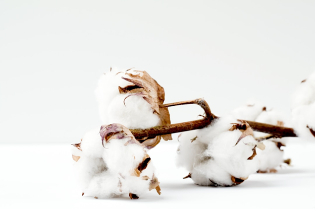 Cotton Lint HSN Code