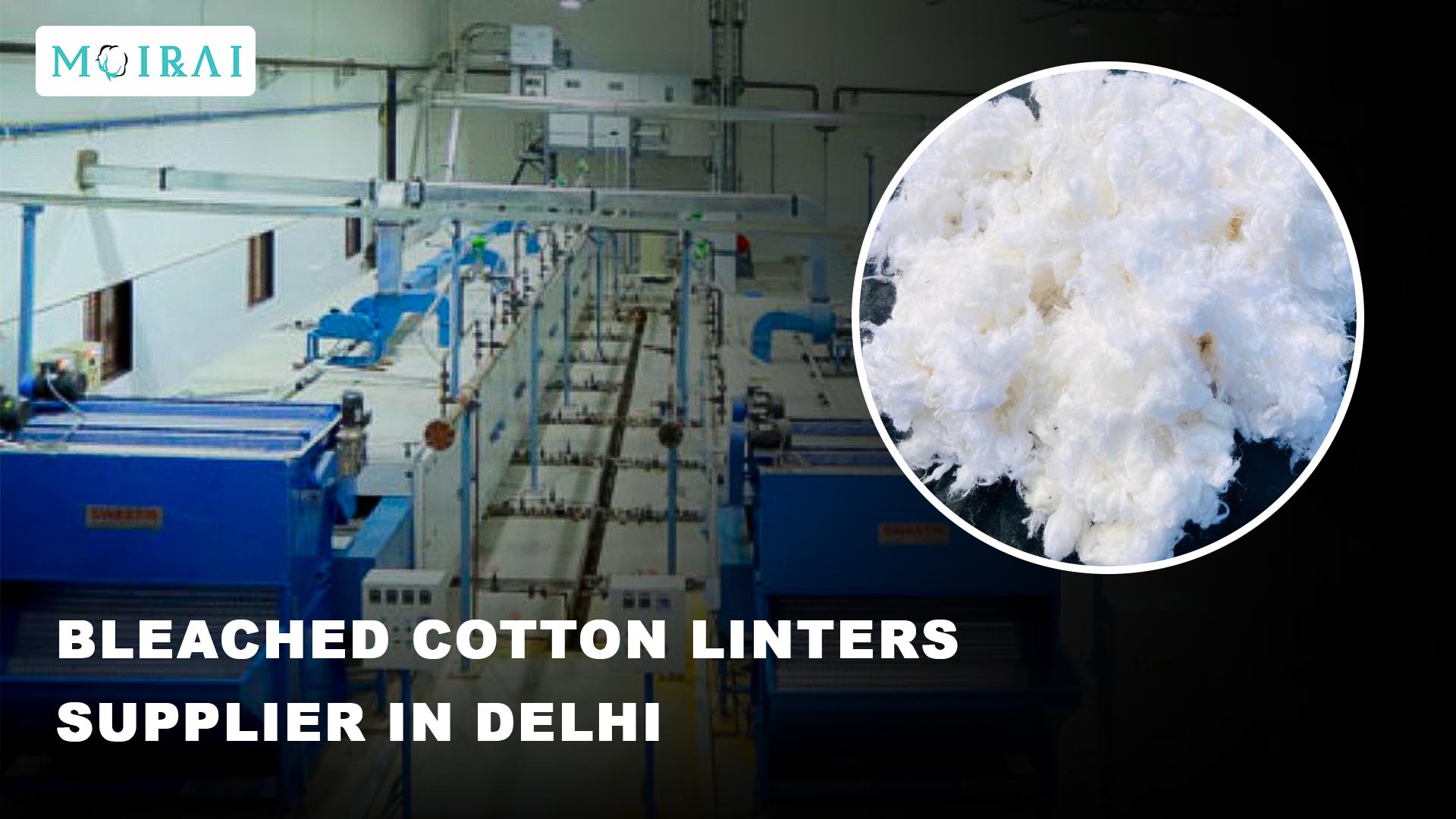 Bleached Cotton Linters Supplier in Delhi