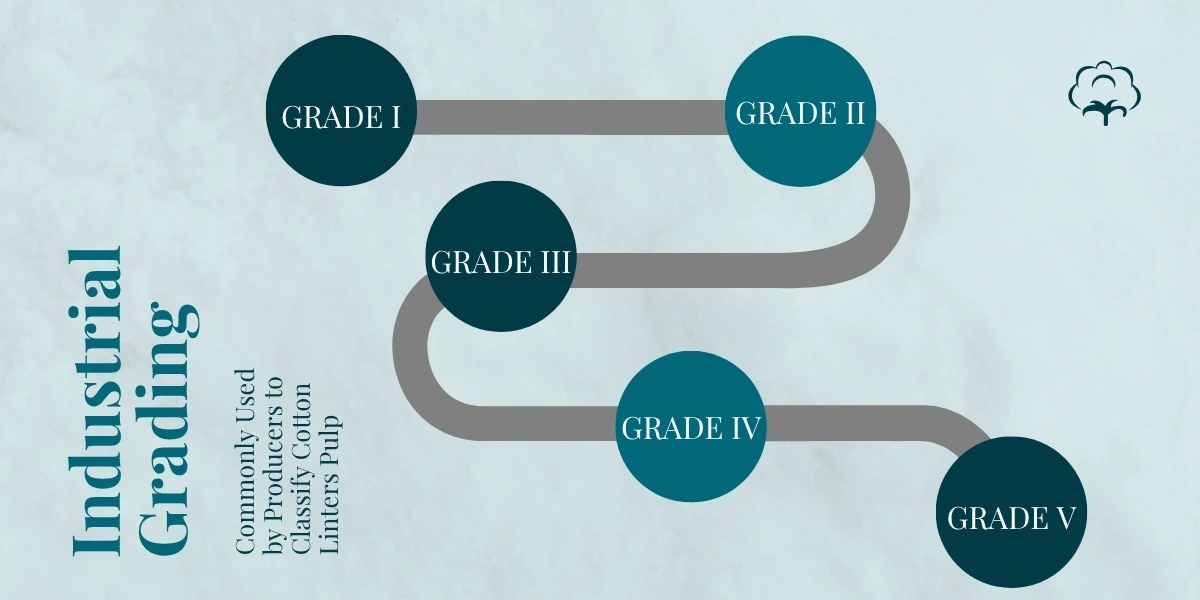Five industrial grades of cotton linters pulp from Grade I to Grade V