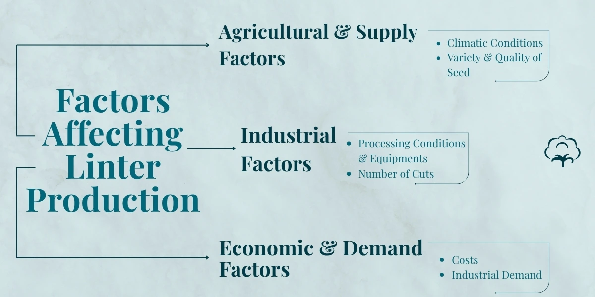Factors affecting cotton linters pulp production including climate, seed quality, processing and demand