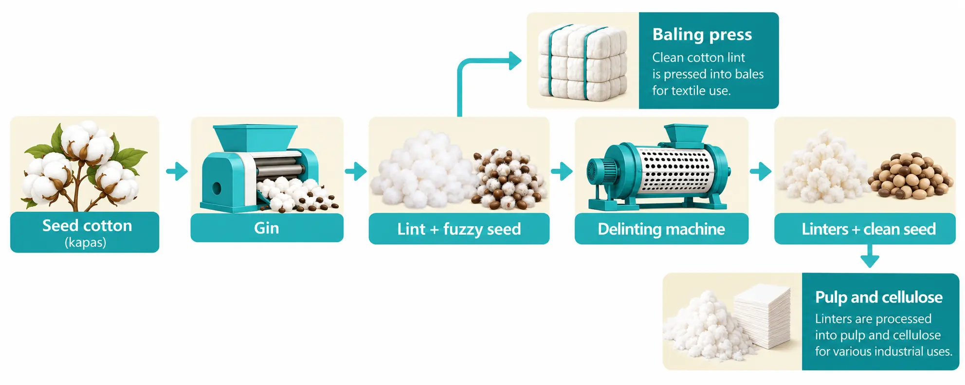 Flow diagram showing seed cotton passing through a gin to give lint and fuzzy seed, then through a delinting machine to give linters and clean seed.